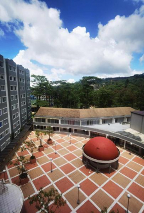 Pine Bristle Homestay